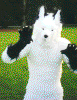 Fursuit